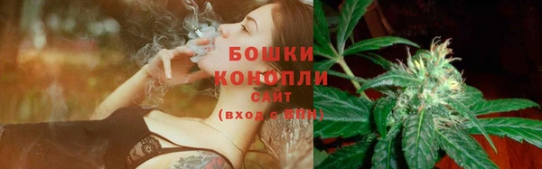 мдпв Надым