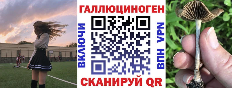 купить наркотики цена  Брюховецкая  Псилоцибиновые грибы Psilocybe 